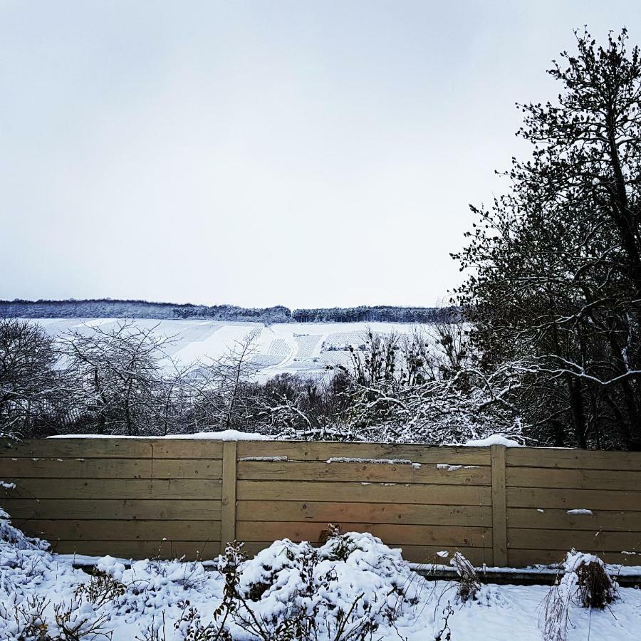 Gite Millesime Et Une Nuit Villers-sous-Châtillon Екстериор снимка
